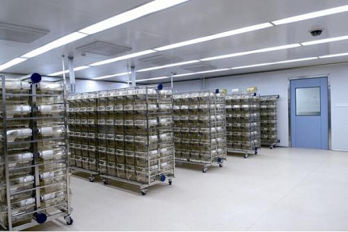 ��(d��ng)�﷿