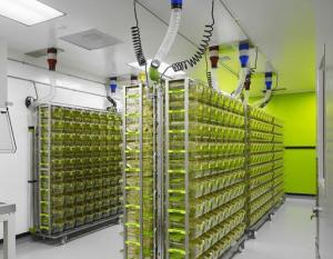 ��(d��ng)�﷿