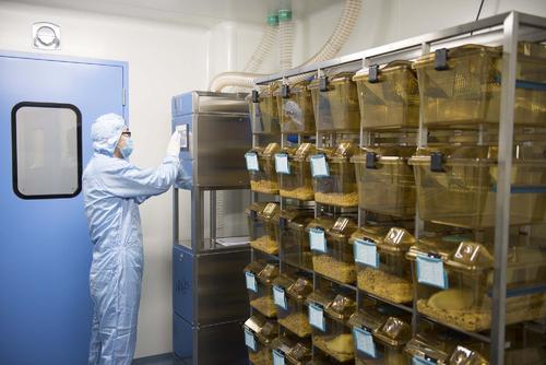 ��(d��ng)�﷿